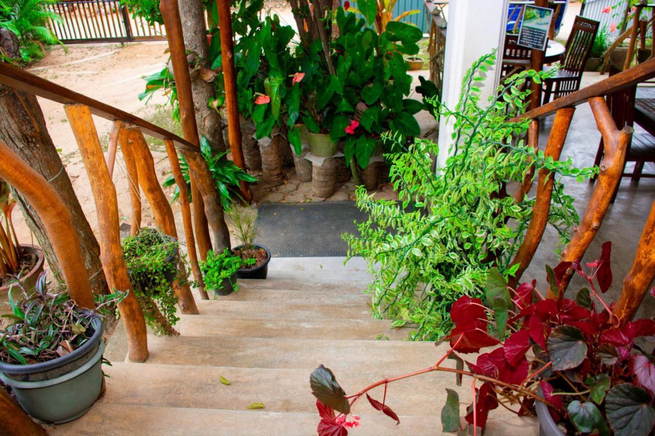 Turtle Paradise Tangalle Ngoại thất bức ảnh