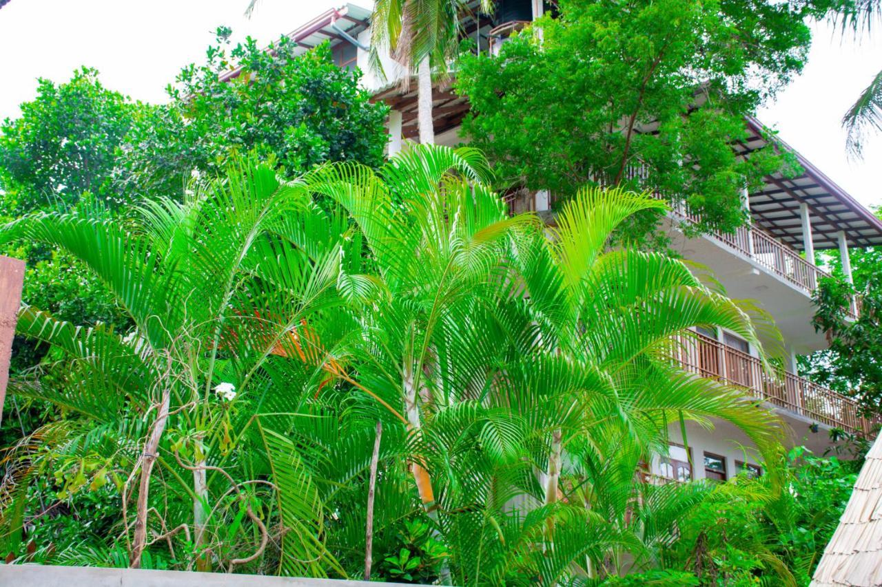 Turtle Paradise Tangalle Ngoại thất bức ảnh